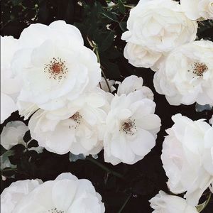 Meet your Posher, Claire